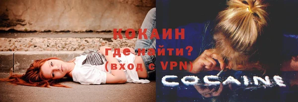 хмурый Арсеньев