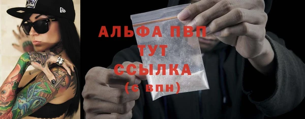 хмурый Арсеньев