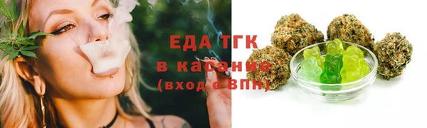 хмурый Арсеньев