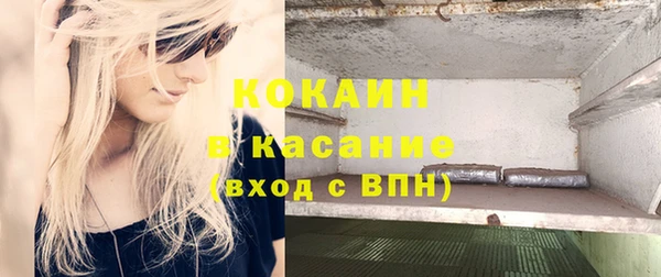 хмурый Арсеньев