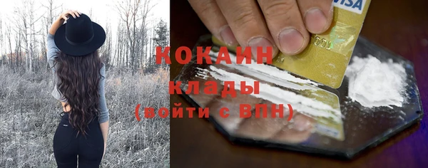 хмурый Арсеньев