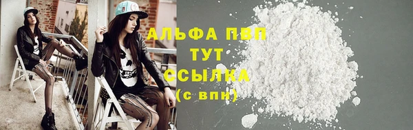 хмурый Арсеньев